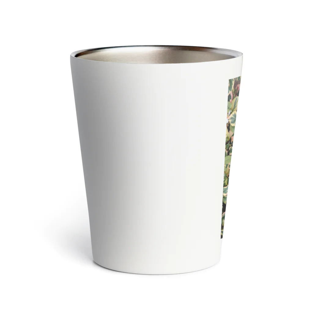 月澄狸の開花中のゴシキドクダミ Thermo Tumbler