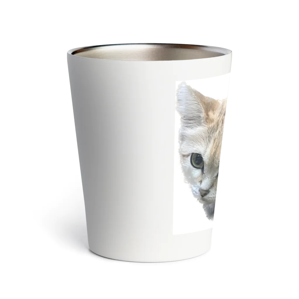 panchanphotoanimalsのスナネコアミーラタンブラー Thermo Tumbler