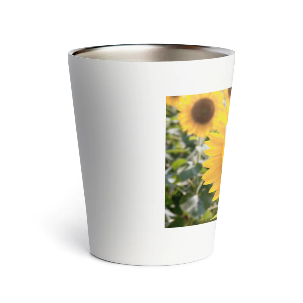 喜満満猫 ARTS STOREのひまわり🌻喜満満猫 Thermo Tumbler