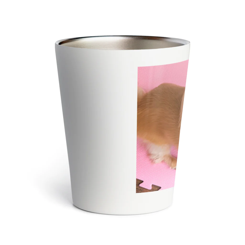 みゆたましょっぷのあざと玉三郎☆ Thermo Tumbler