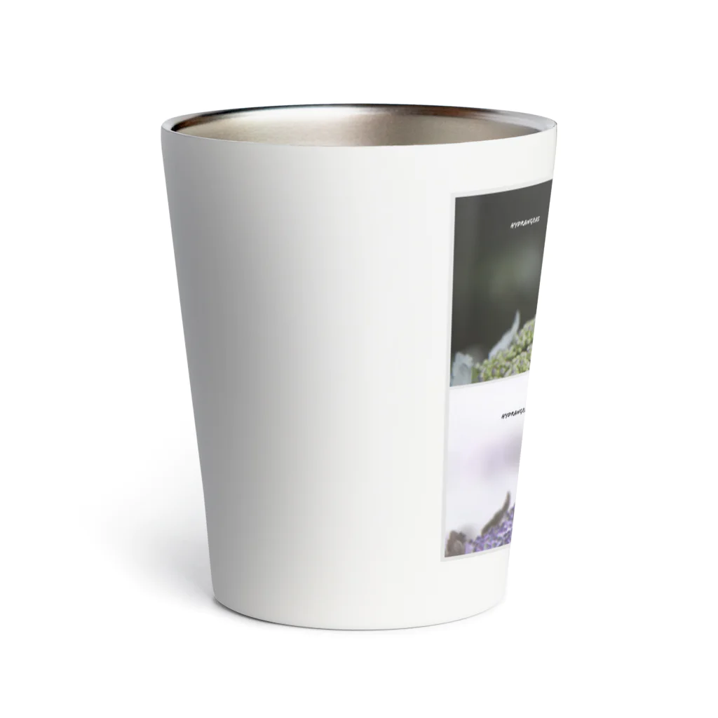 蛍石のhydrangeas Thermo Tumbler