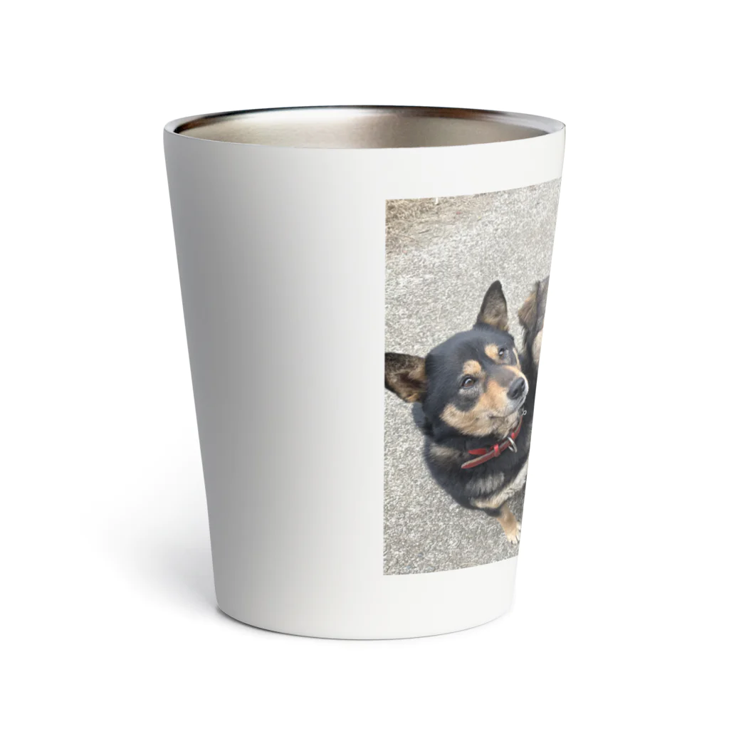 YKYK-HAPPYANIMALsのおもちーず Thermo Tumbler