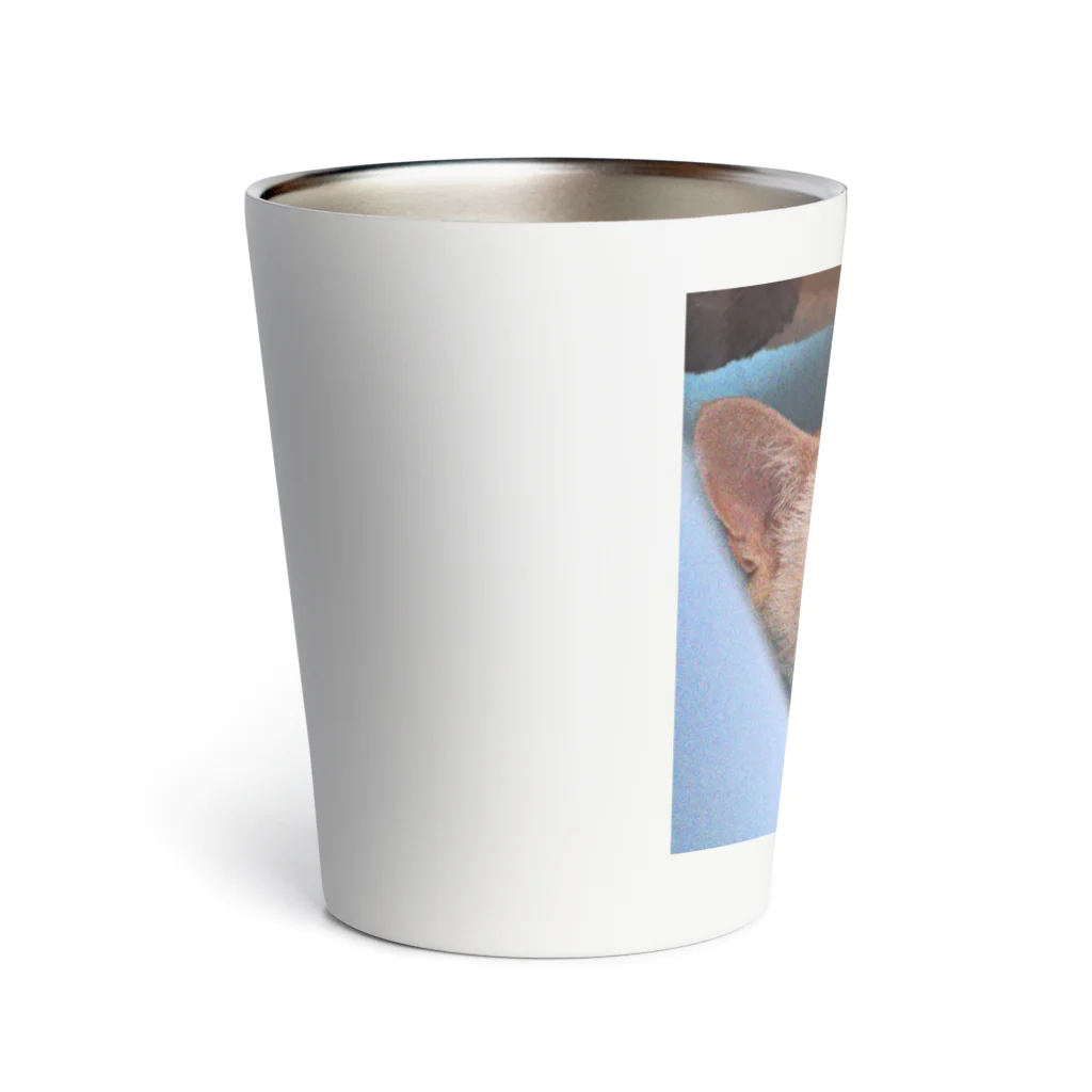 yurilandのきなこ ノイズ Thermo Tumbler