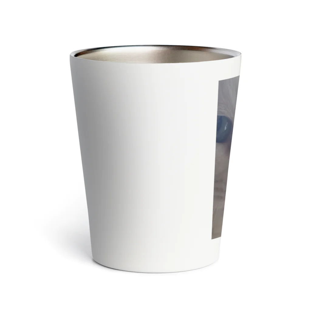 しろねこまるの白猫まる Thermo Tumbler