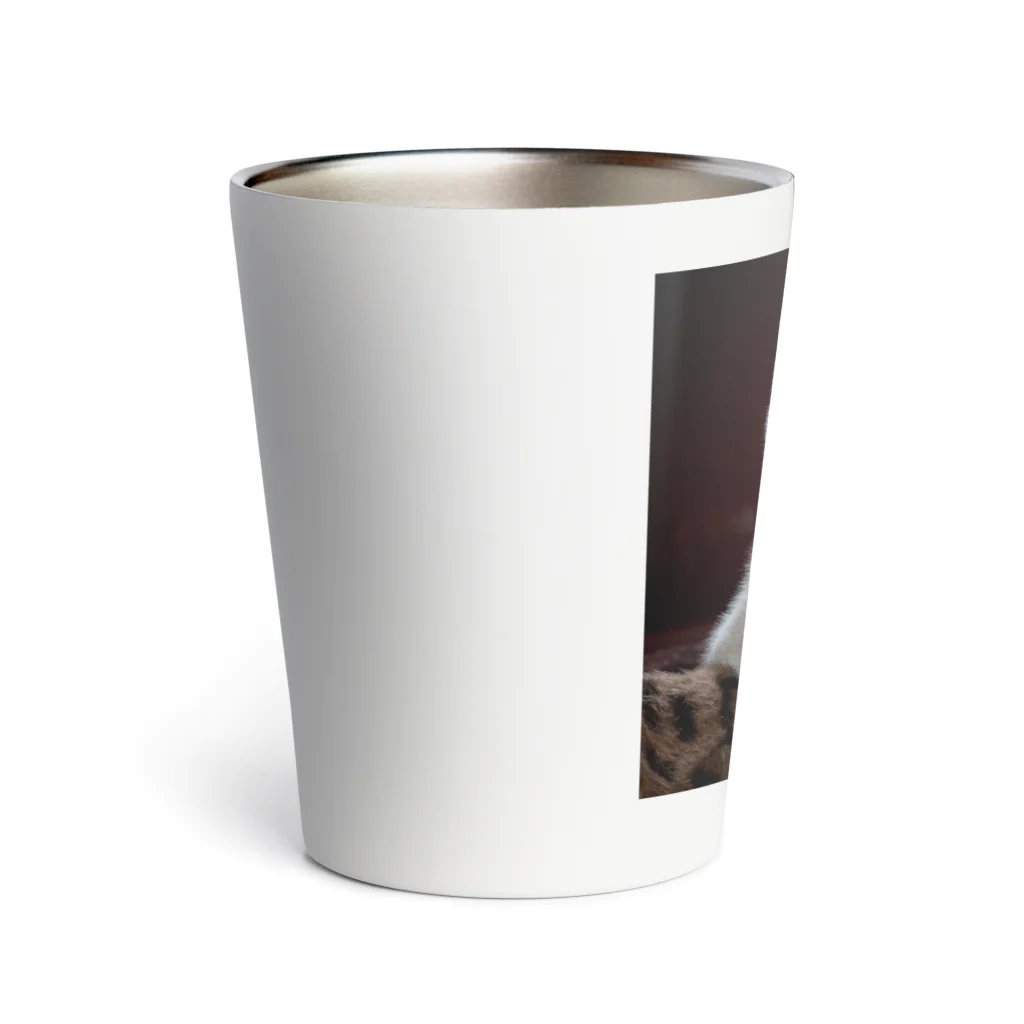 猫アートグッズのTy Swartz《A focused kitten》 Thermo Tumbler