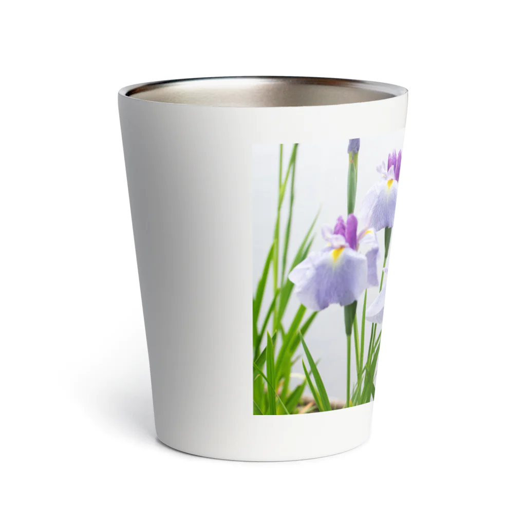 akane_art（茜音工房）の癒しの風景（花菖蒲） Thermo Tumbler