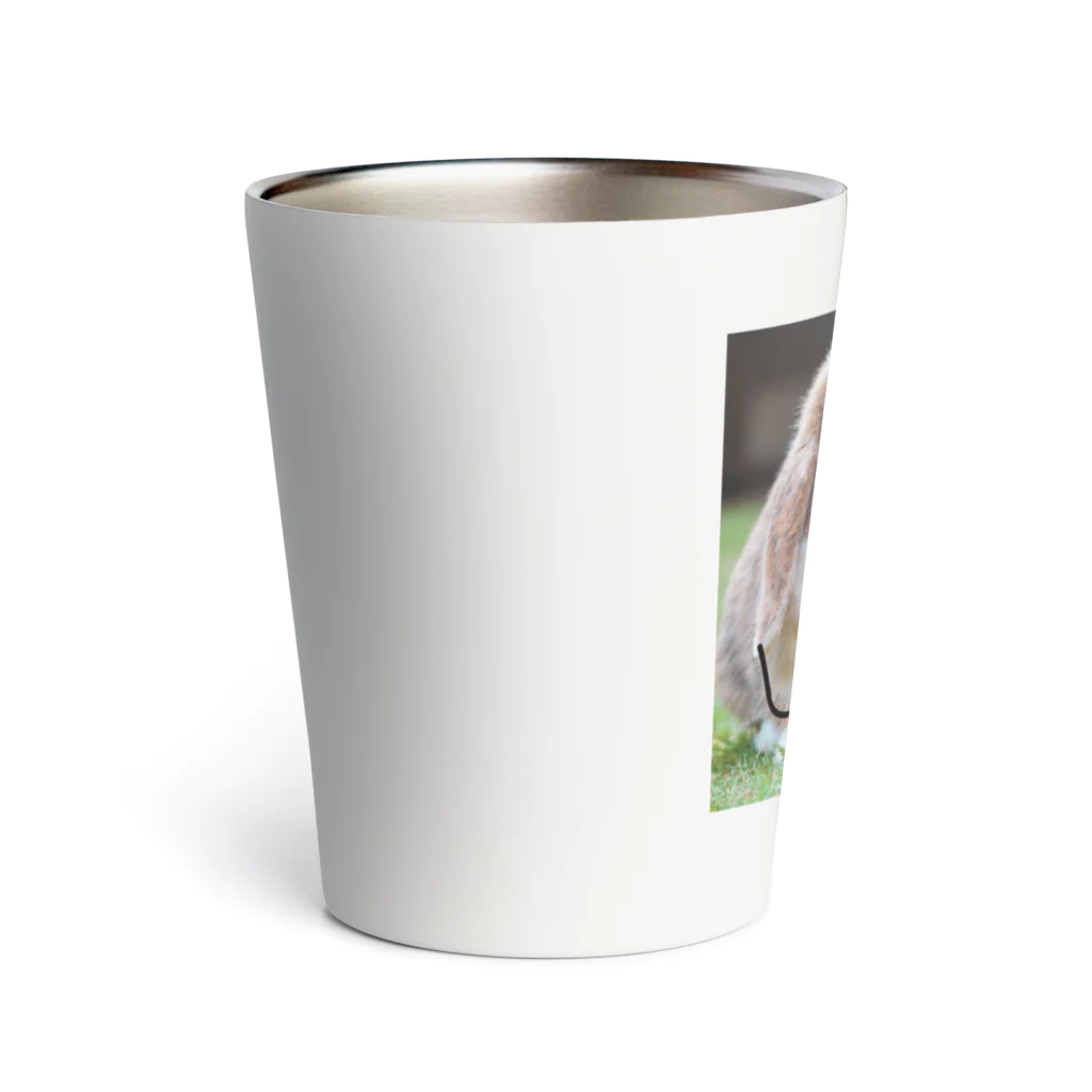 HANIのウサギデザイン Thermo Tumbler