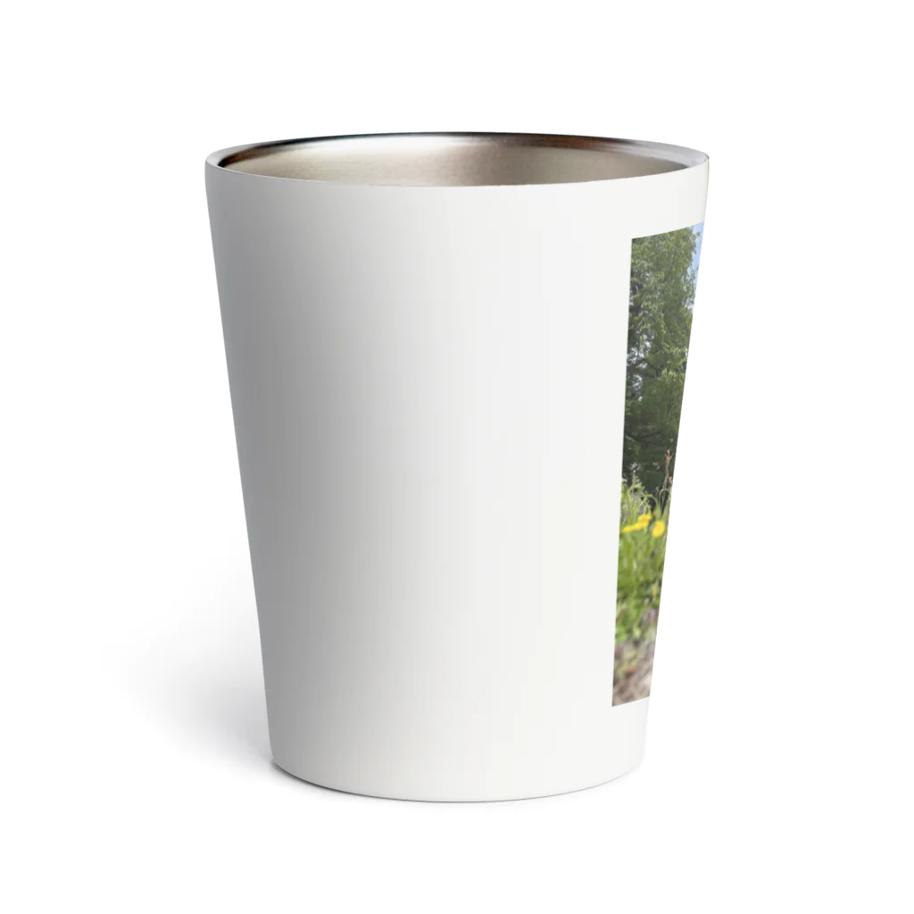 COSMIC Galleryの白川郷・五箇山の合掌造り集落 Thermo Tumbler