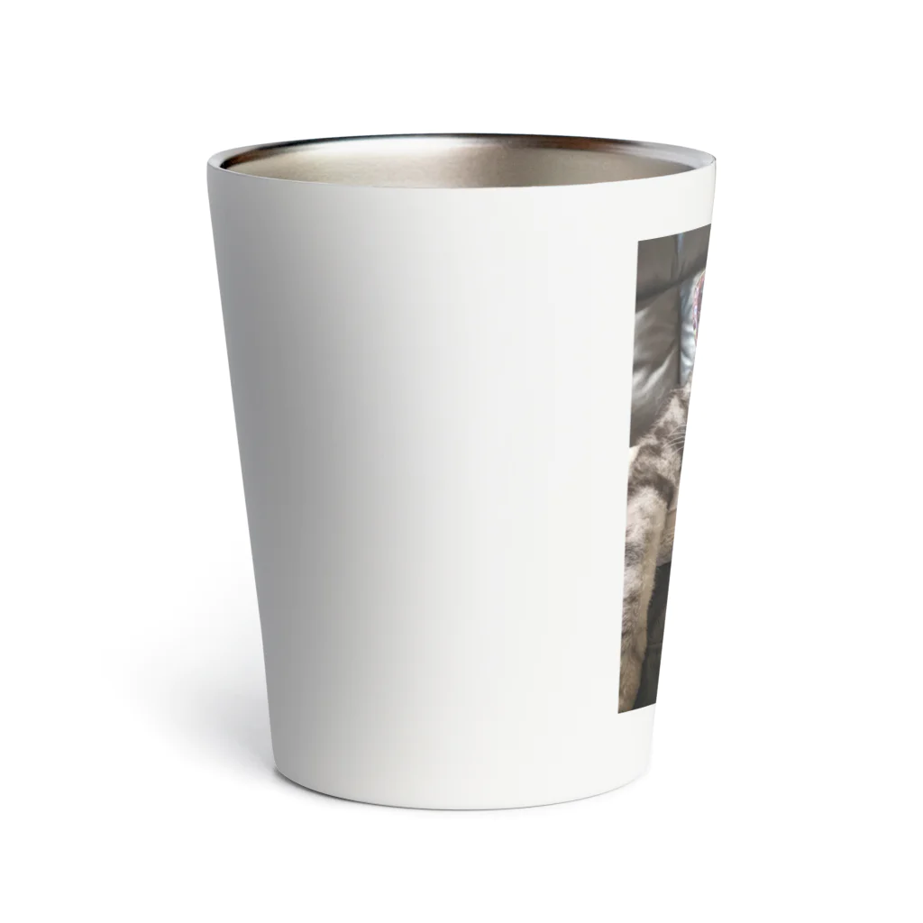 美ぃたんのSORAのサーモタンブラー Thermo Tumbler