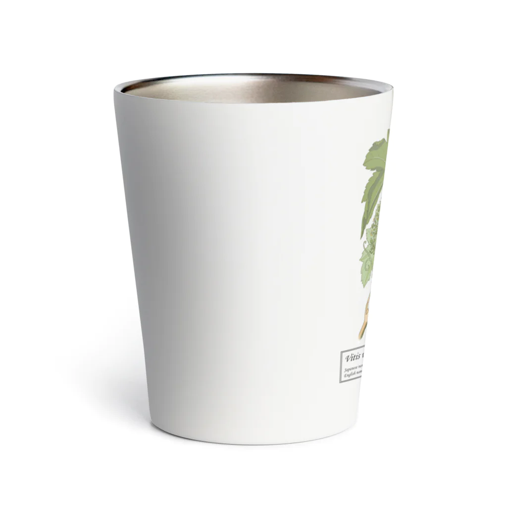 たくみのグッズショップのヨーロッパブドウ（Vitis vinifera） Thermo Tumbler