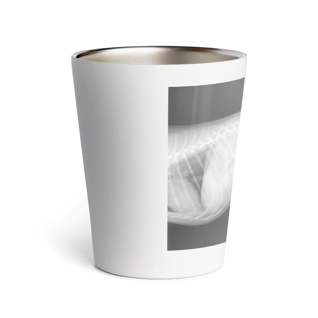 nireのいぬのレントゲン Thermo Tumbler