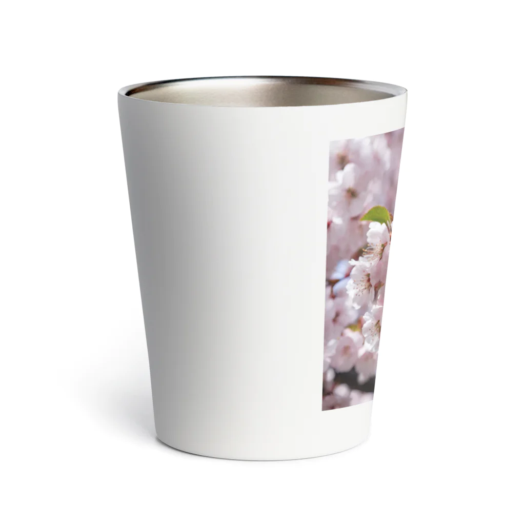 spencerのソメイ Thermo Tumbler