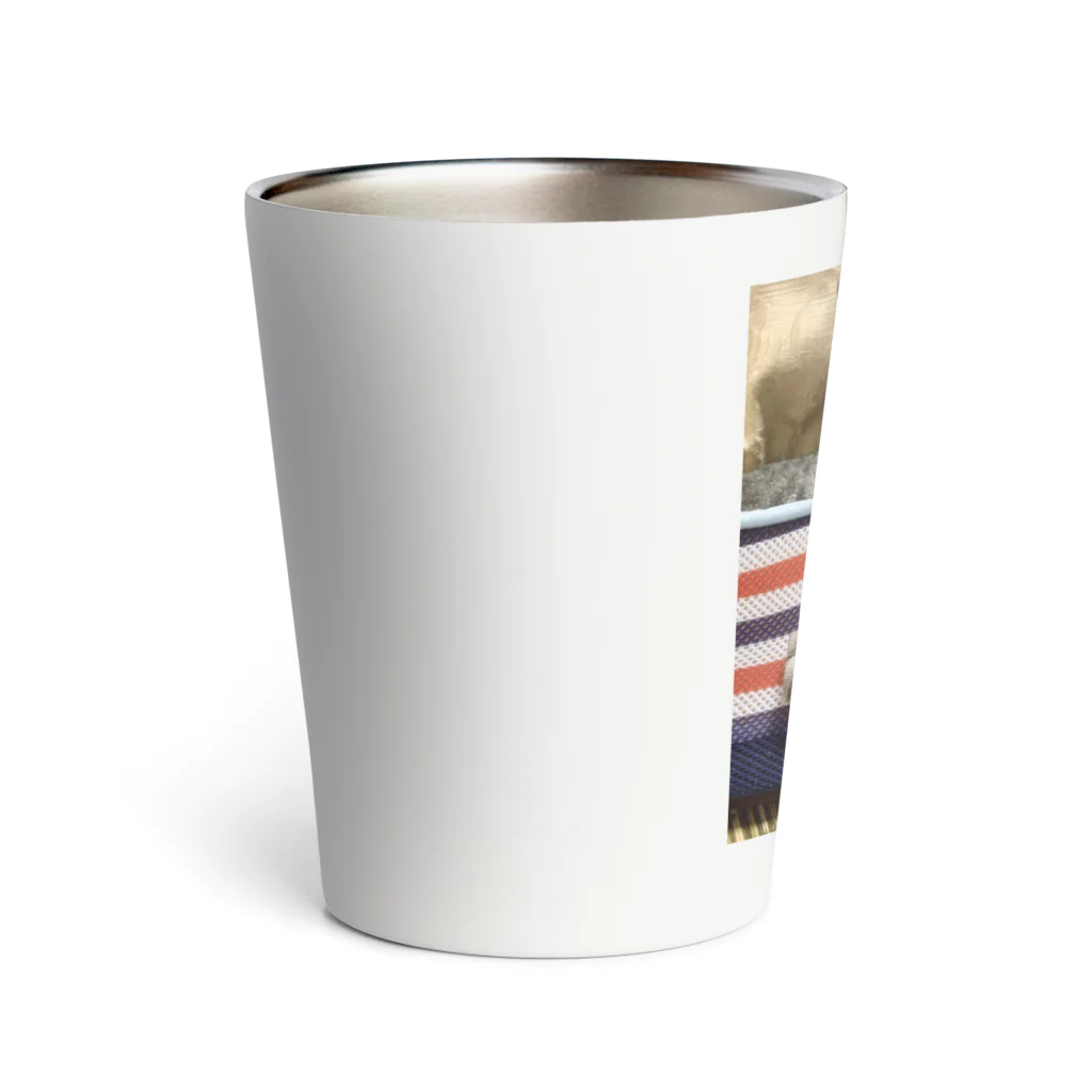 fashion-sametarouのワイルドだろ〜 Thermo Tumbler