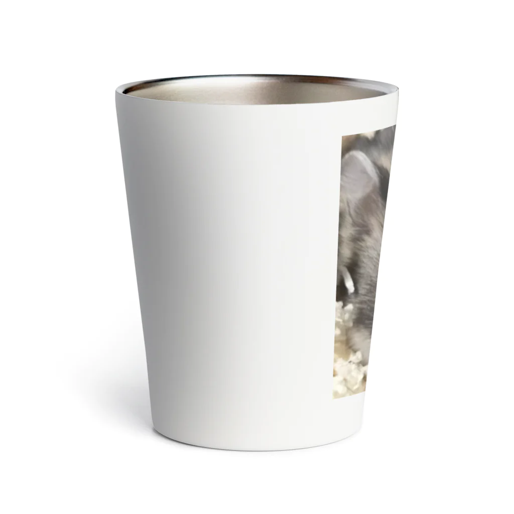 SachiyoのハムスターのMUSASHI Thermo Tumbler