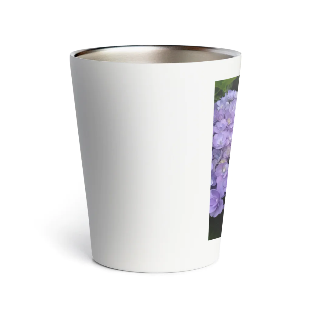 yurisacinの紫陽花（紫） Thermo Tumbler