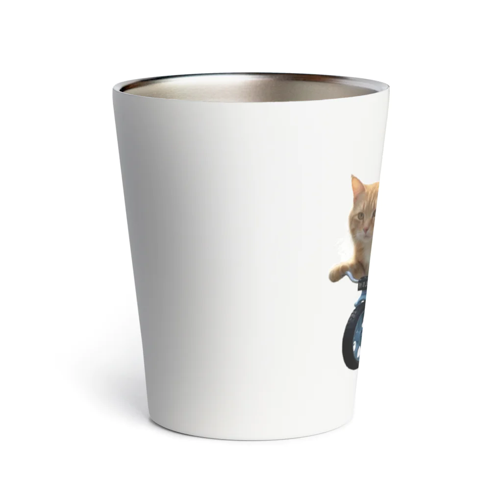 sora-555のトラ猫 Thermo Tumbler