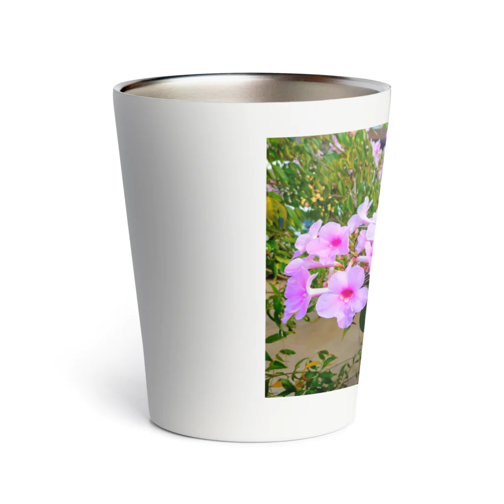 終わらない夢🌈の実写シリーズ【初夏の美しい花🌸】 Thermo Tumbler