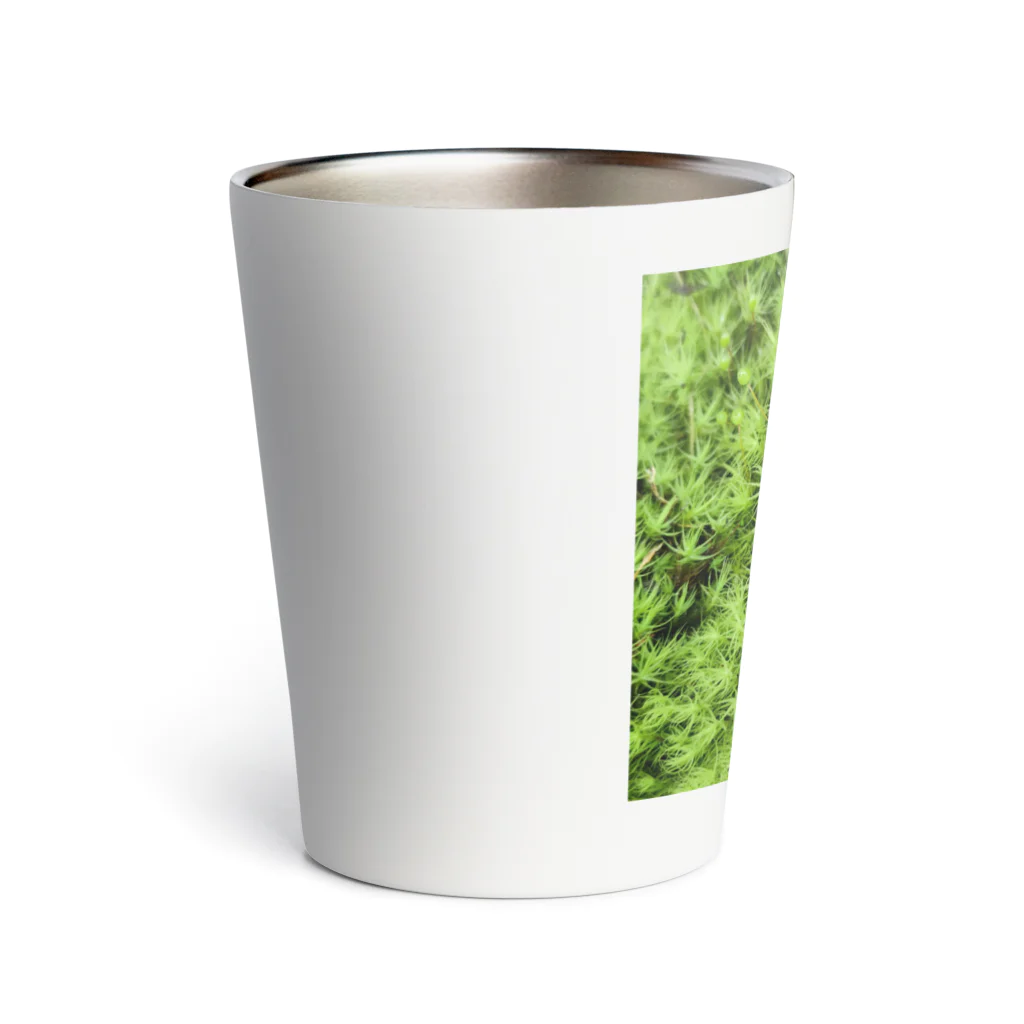 アトリエWindwingの苔グッズ（タマゴケ玉つき） Thermo Tumbler