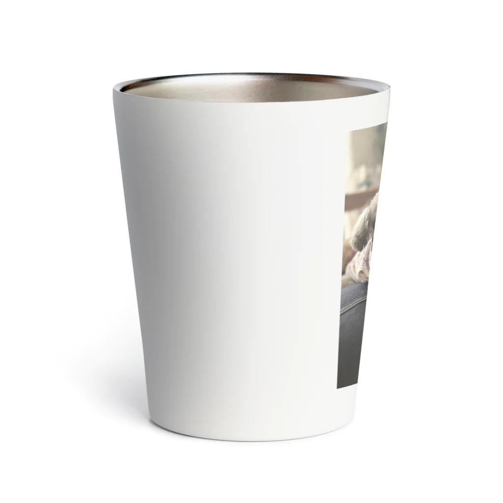 hanuruse3のサブ蔵 Thermo Tumbler