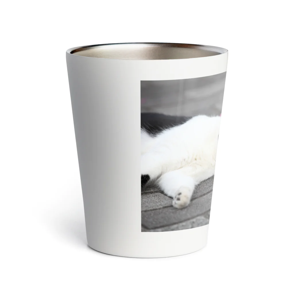 みか猫の猫のこばち Thermo Tumbler