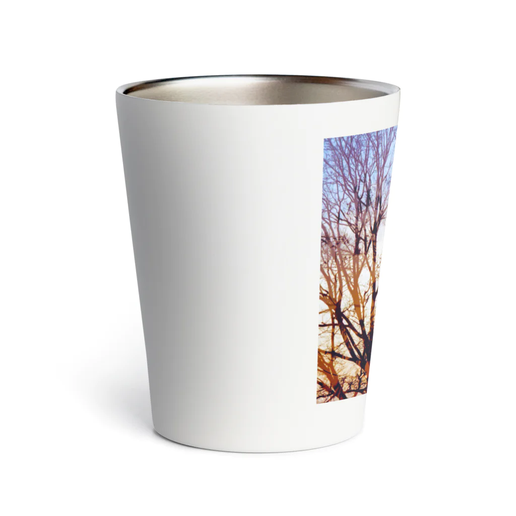 燈火　TomoshiBiの夕日×木影 Thermo Tumbler