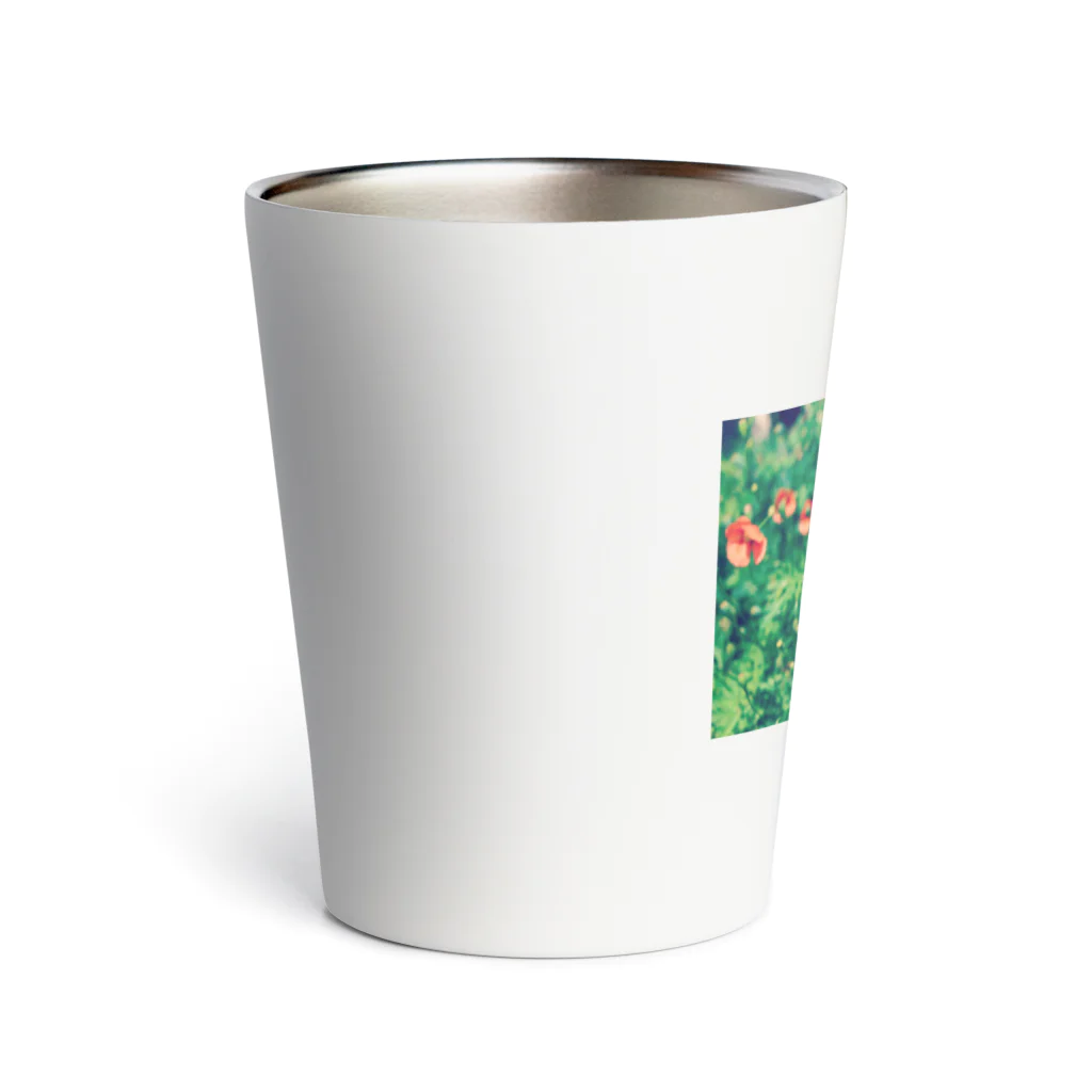 如夢幻の晴れのポピー Thermo Tumbler