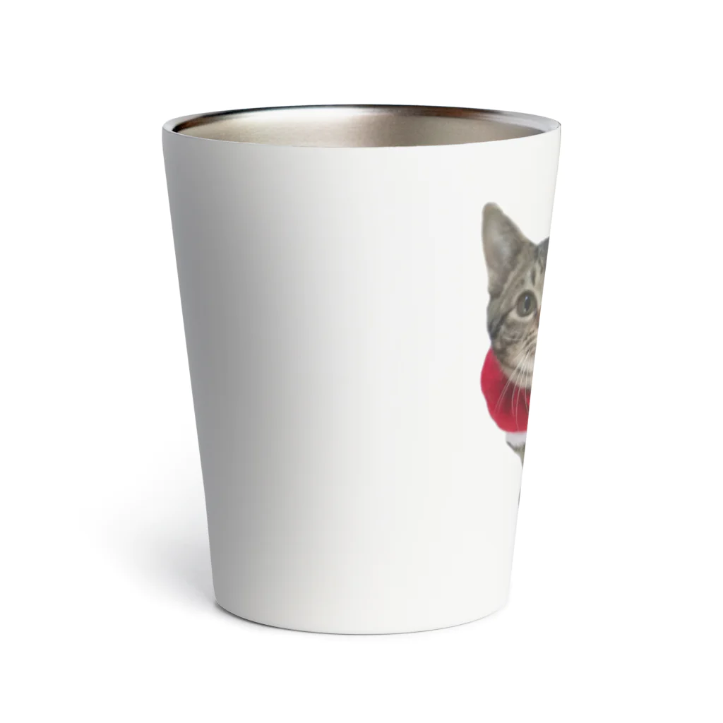 アニマル12サポートの保護ねこ仮名・織ちゃんグッズ Thermo Tumbler