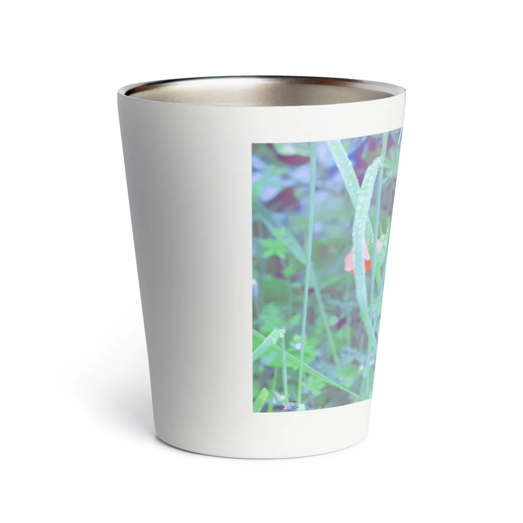 如夢幻の雨のポピー Thermo Tumbler