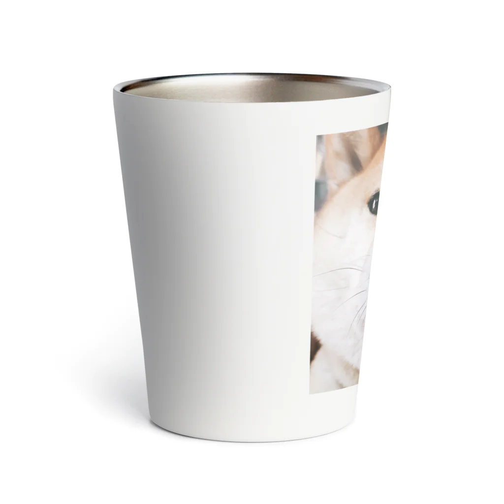 きな茶商店のドヤッとドアップ茶々 Thermo Tumbler