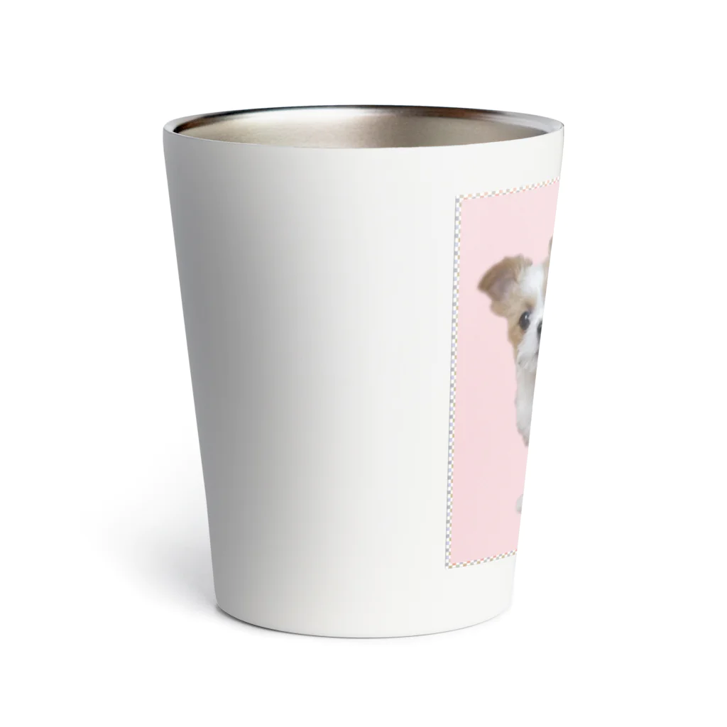 Alchart online shopの★きん★グッズ Thermo Tumbler