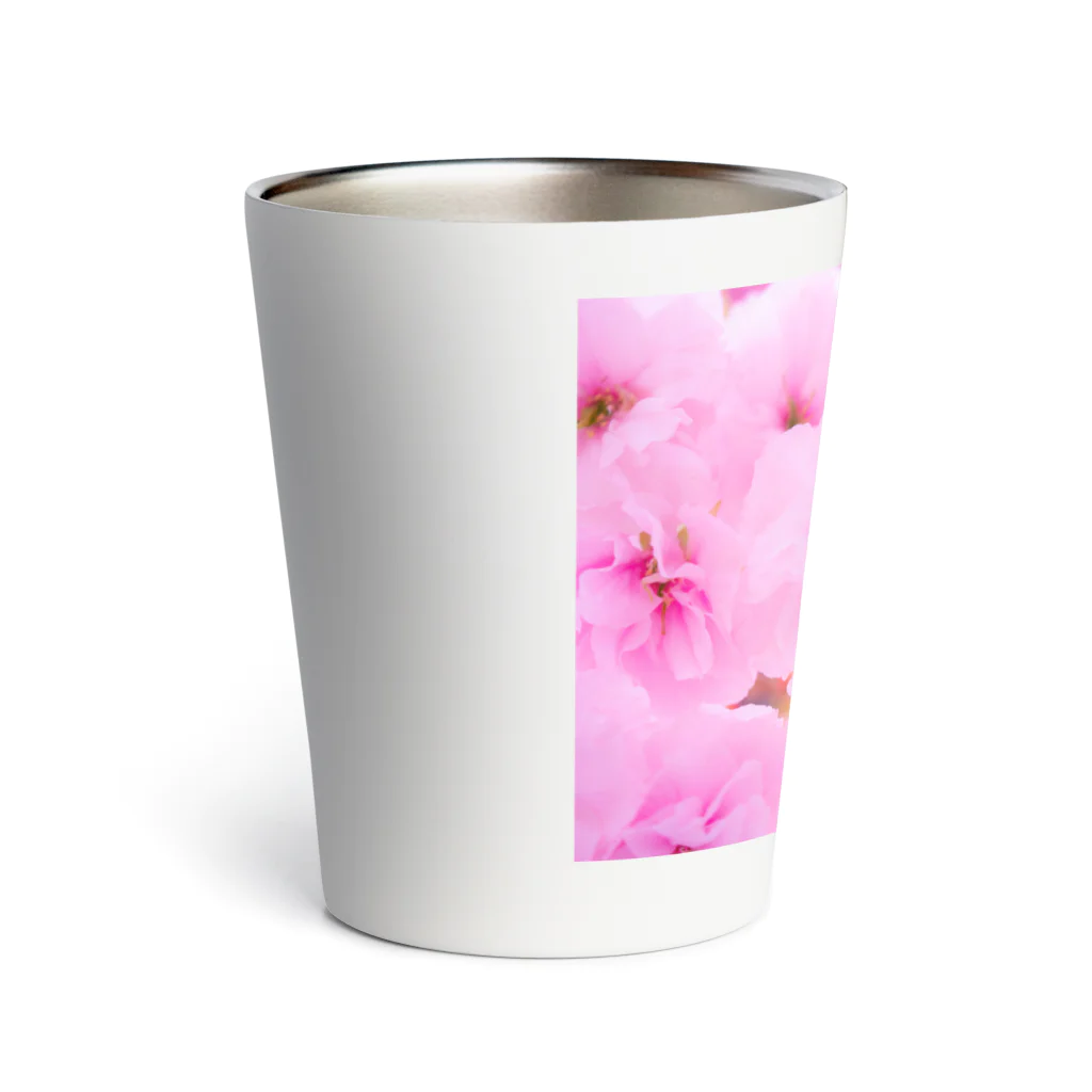 nu.のdouble cherry blossom Thermo Tumbler