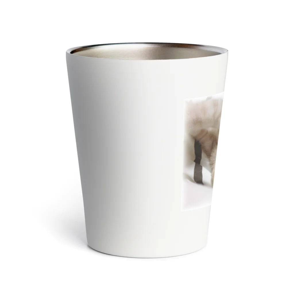 ねこたちのみつサーモ Thermo Tumbler