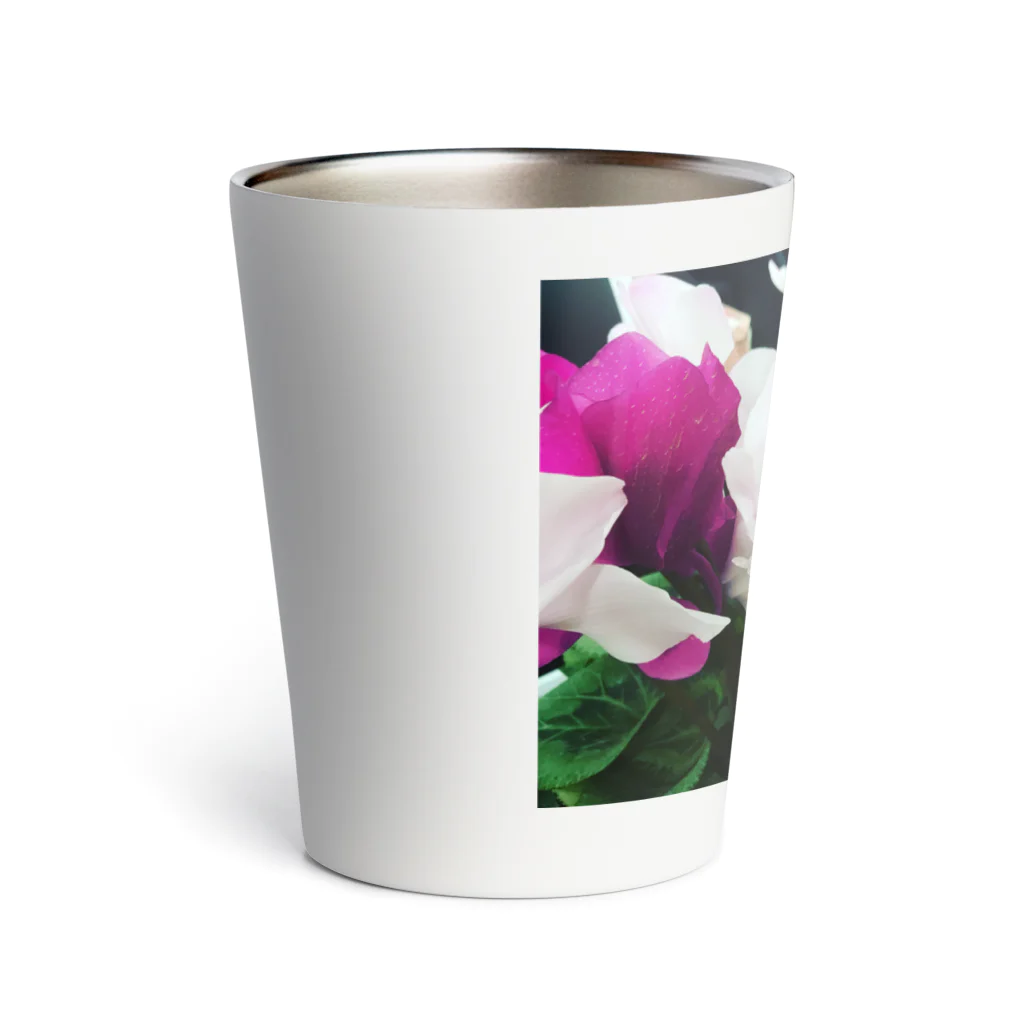 prosopocoilusunのCyclamen Thermo Tumbler