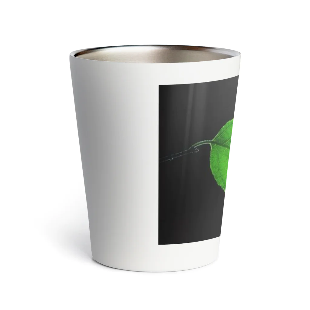 GreenTrexのセミシルエット Thermo Tumbler