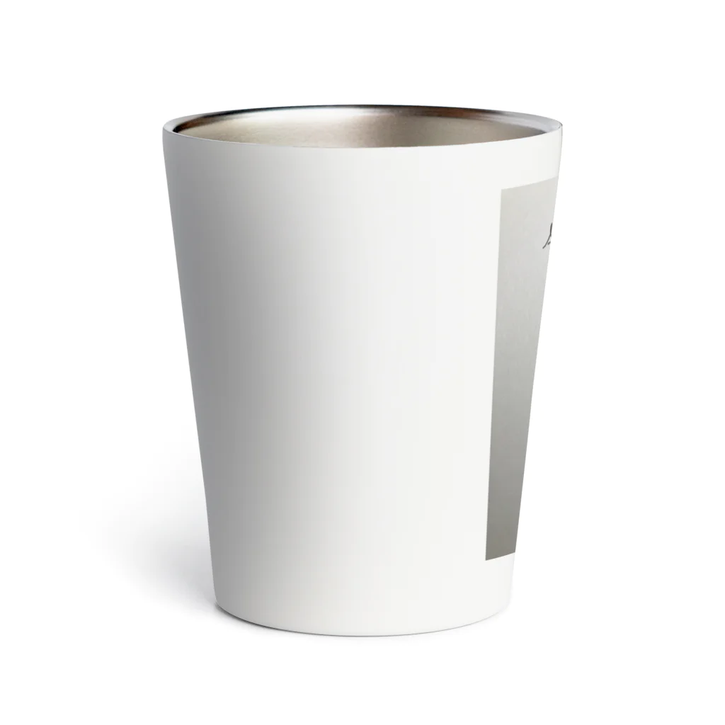 AcrrostonのAcrroston Thermo Tumbler