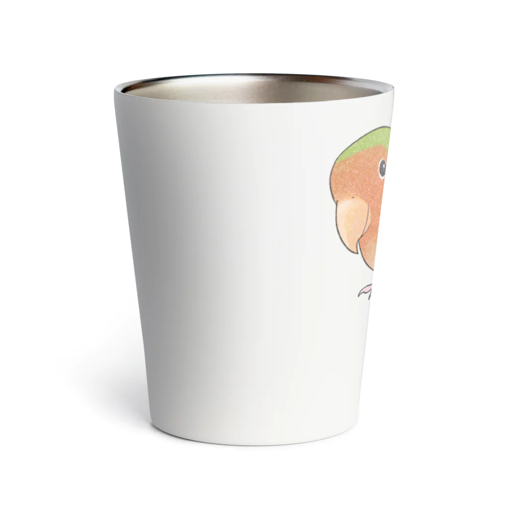 まめるりはことりの見つめるコザクラインコちゃん【まめるりはことり】 Thermo Tumbler