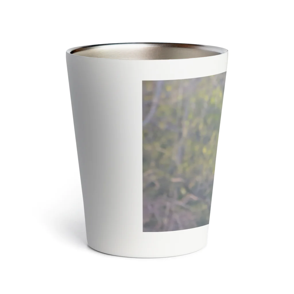 MIM△made in mountainのクマタカ Thermo Tumbler