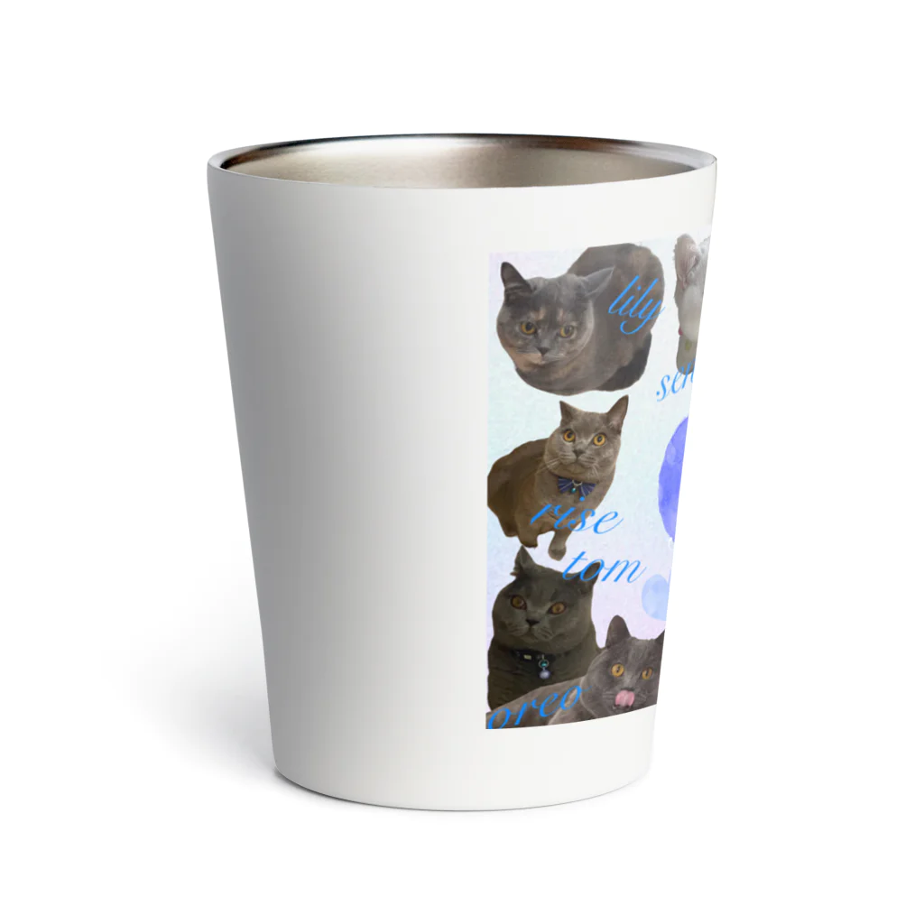 こころのお店のBritish Shorthairs Thermo Tumbler