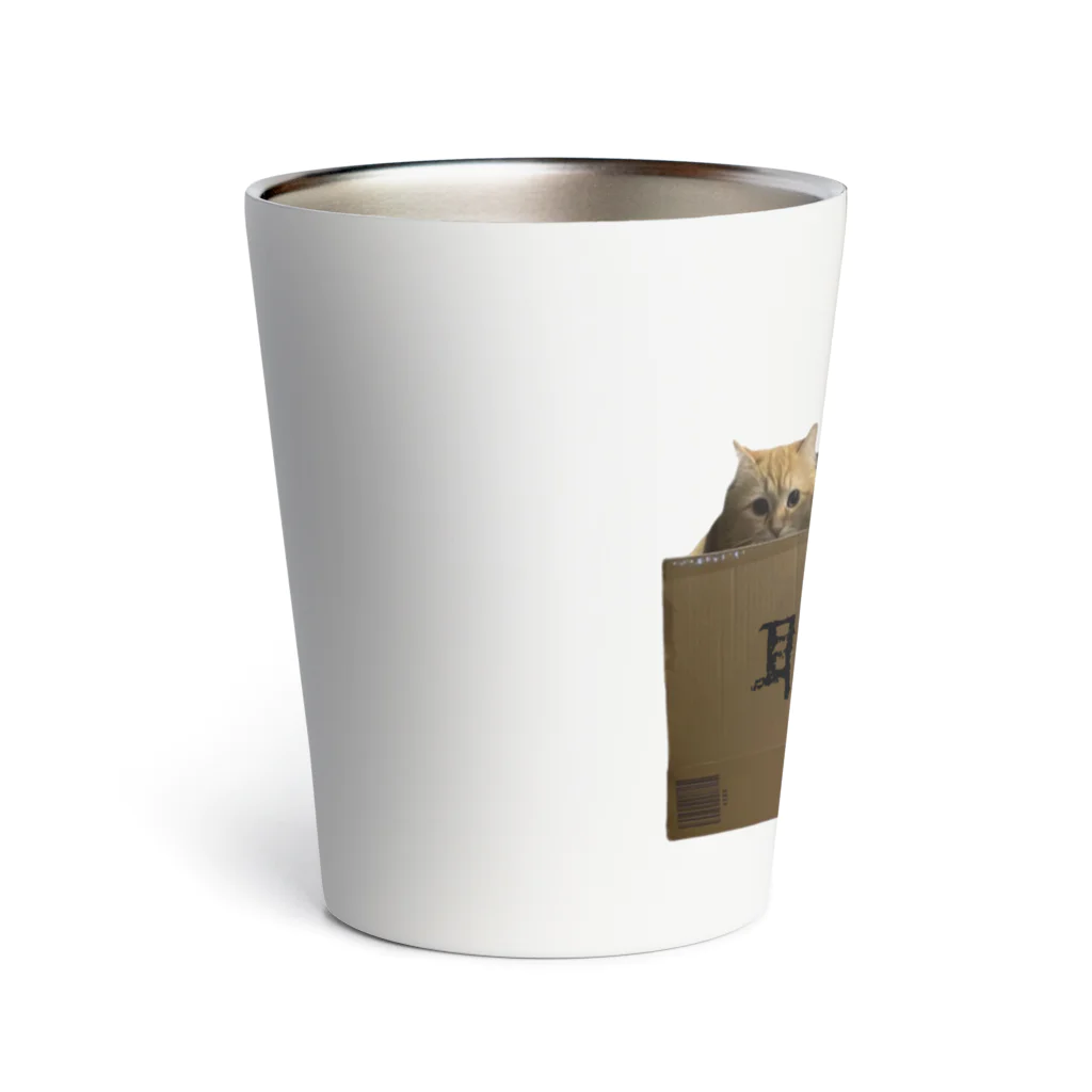 ネコランド商店の取扱注意猫 Thermo Tumbler