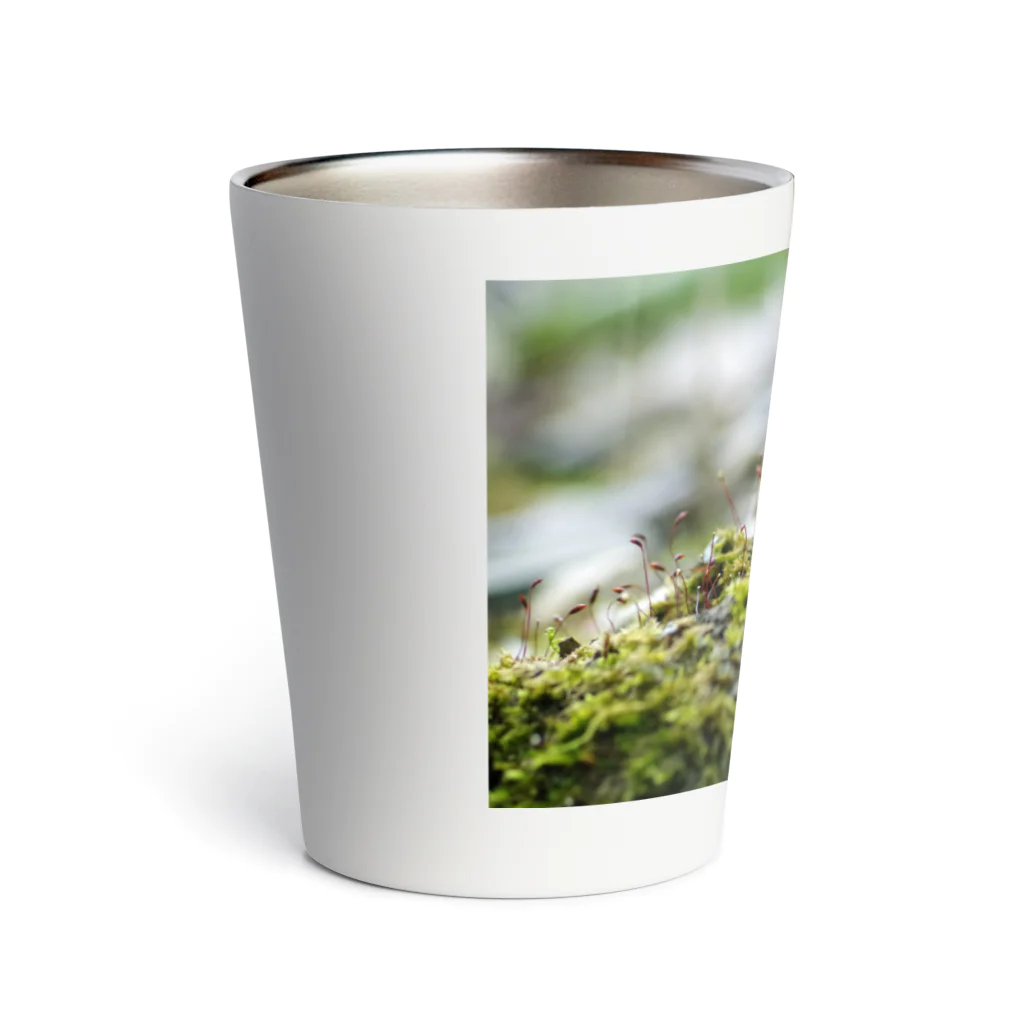 ﾛｯﾄﾓｰﾝﾄの苔むした Thermo Tumbler