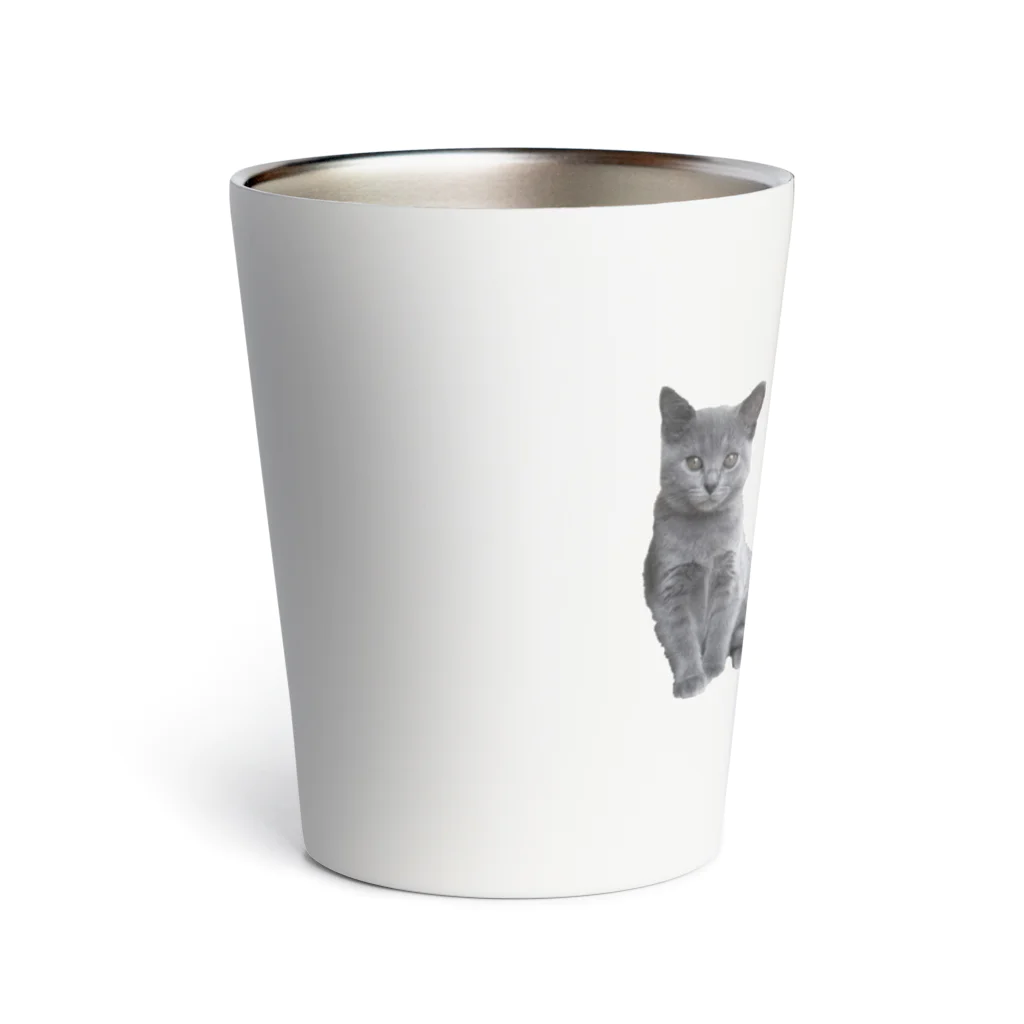 サバミケ、茶トラ、鍵しっぽ。のロシアンブルーの仔猫グッズ Thermo Tumbler