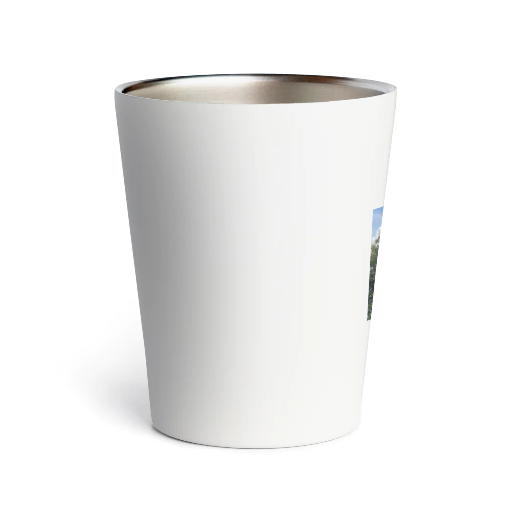 Raccoonの御来光 Thermo Tumbler