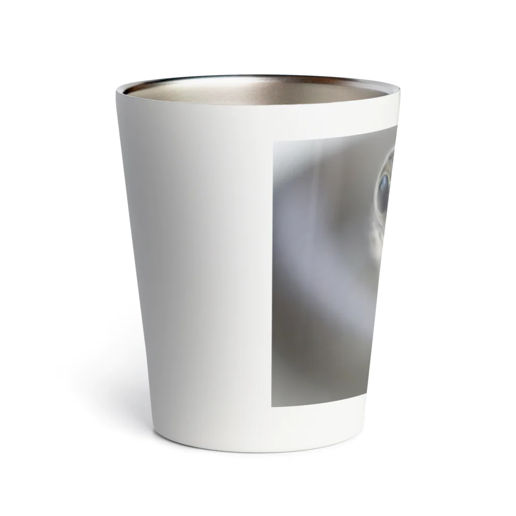 マイノリティなどうぶつのその日ばかり Thermo Tumbler