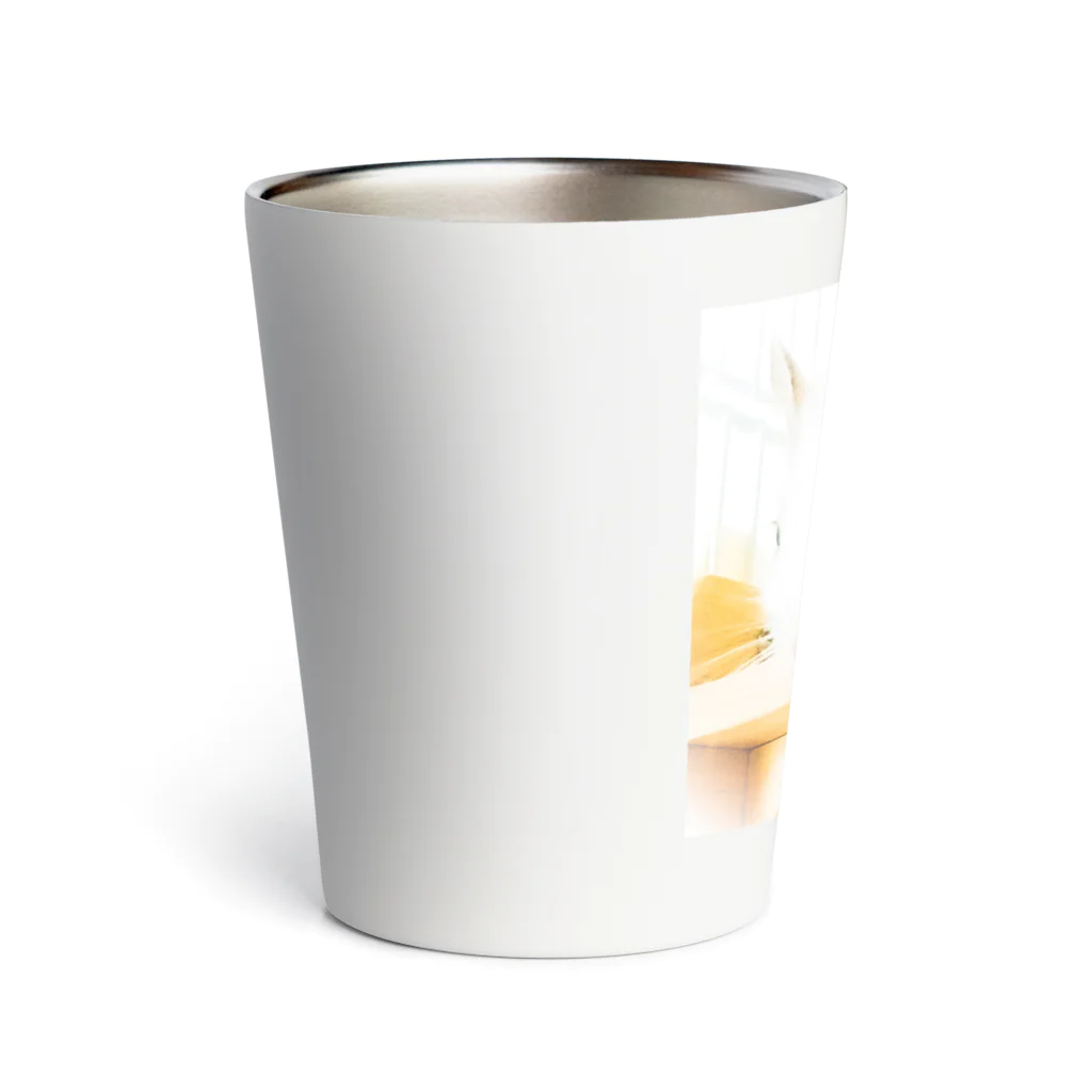 ハムデグのデグーの休日 Thermo Tumbler