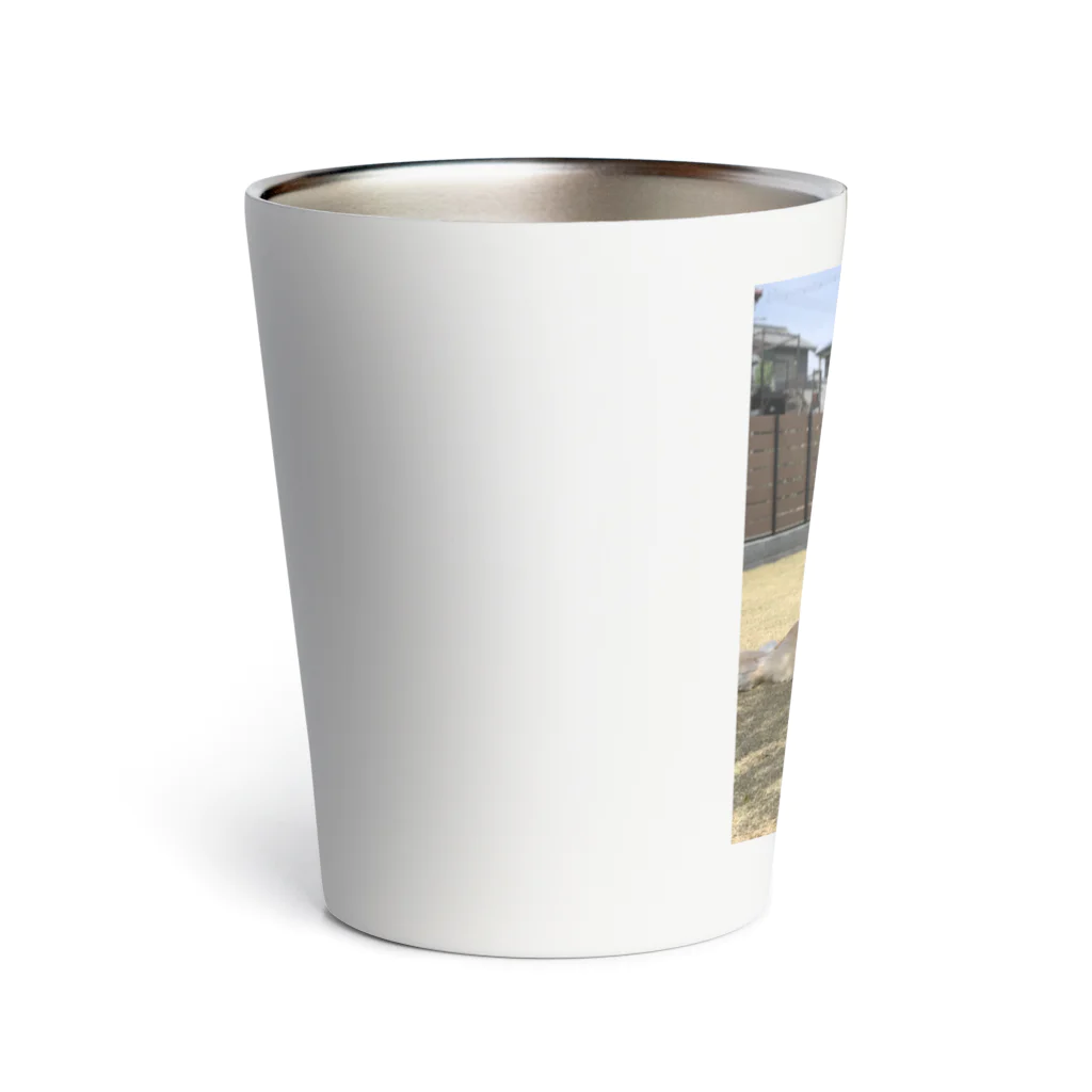 Golden Retriever Sarah&TaroのGolden Retriever Sarah&Taro2 Thermo Tumbler