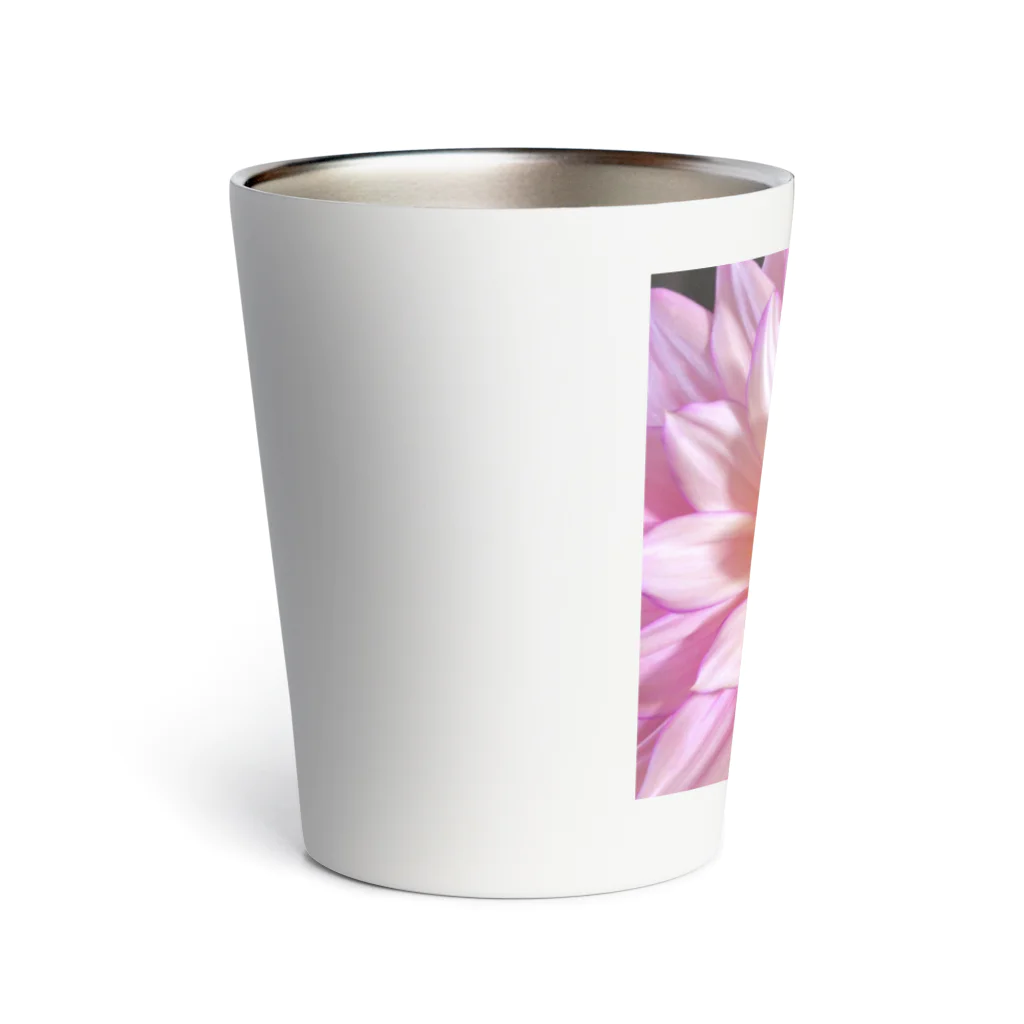 ArtWillのダリア(ピンク) Thermo Tumbler