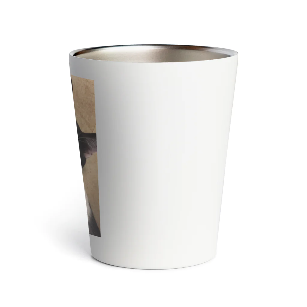 猫好きのネコ Thermo Tumbler