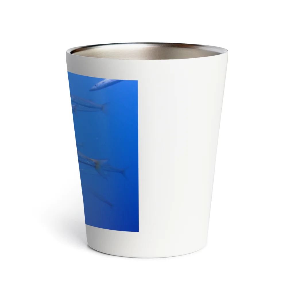 海の家のタイワンカマス Yellowtail barracuda Thermo Tumbler