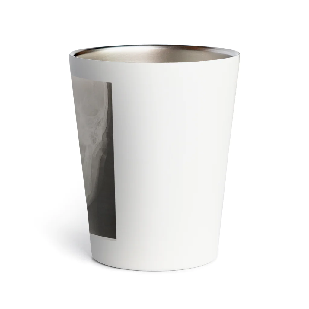 ラムフォトのレントゲン Thermo Tumbler