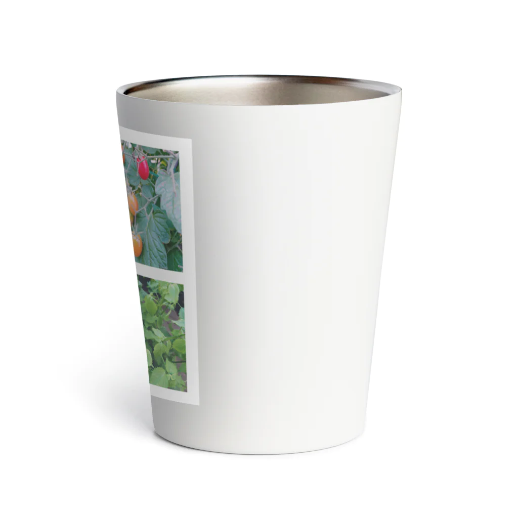 aasのお盆　obon Thermo Tumbler